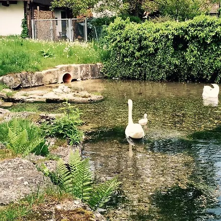 Zum Bad Langenau